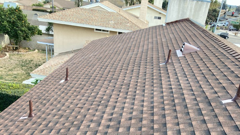 shingle1